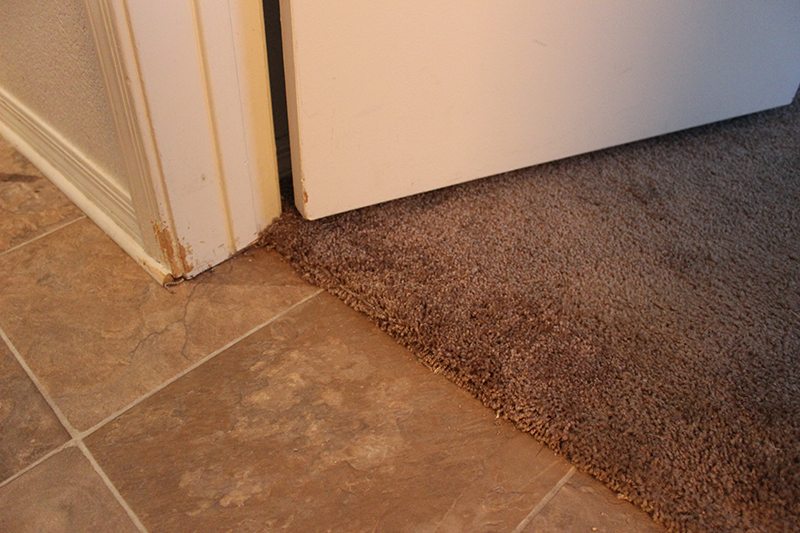 Pet damage carpet repair on a step. : r/carpetcleaningporn